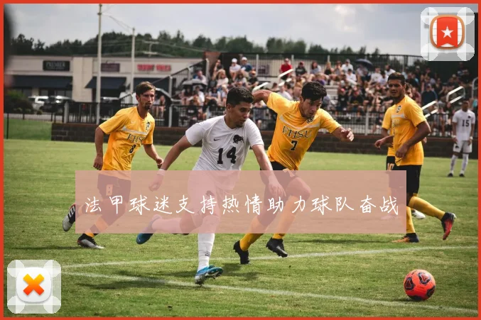 法甲球迷支持热情助力球队奋战