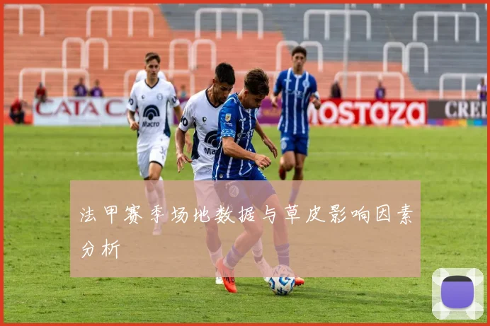 法甲赛季场地数据与草皮影响因素分析